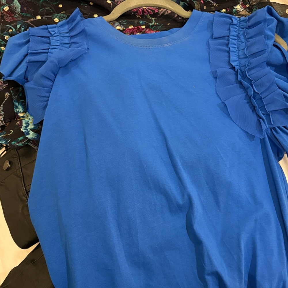 Ulla Johnson Blue Ruffle Sleeve Top